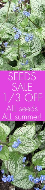 Norfolk Cottage Garden Seeds & Plants